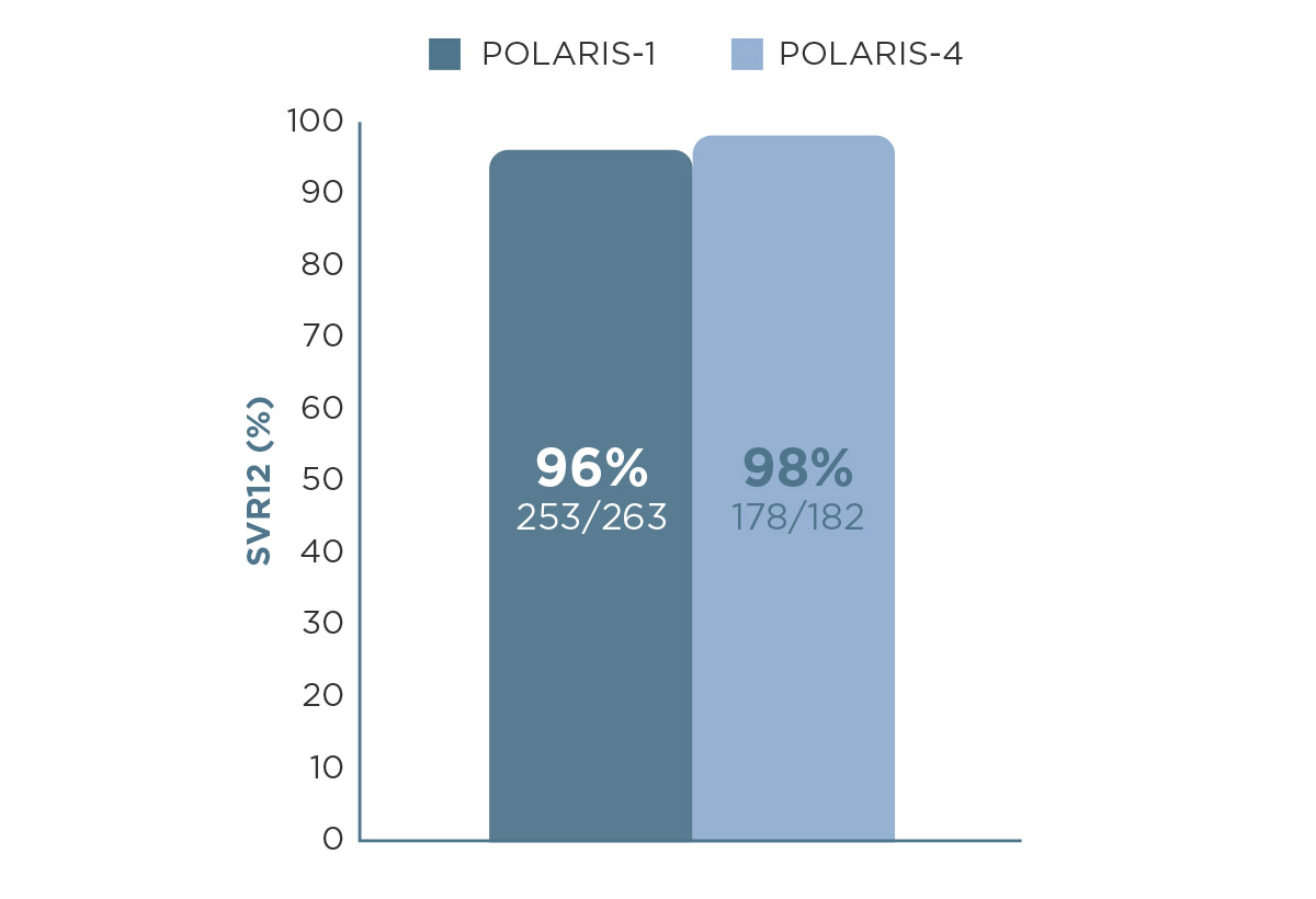Polaris 1 and 4