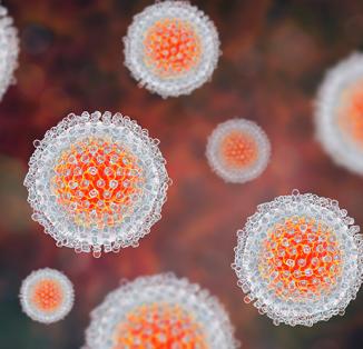 efficacy in cirrhotic and non-cirrhotic patients